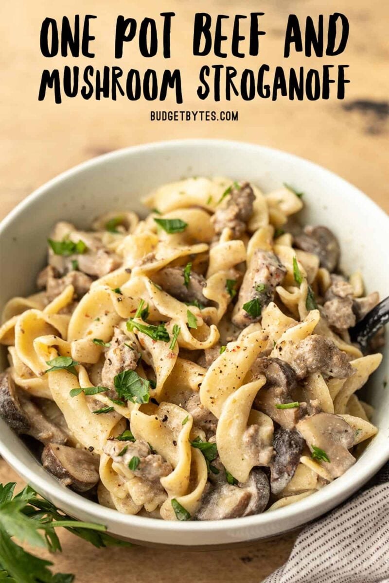 Beef Stroganoff Recipe - Budget Bytes