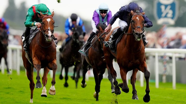 City Of Troy was the star of the show at the Juddmonte International